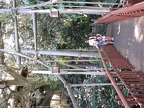 Swiss Family Treehouse