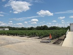 A beautiful day in Hammonton