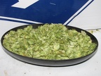 DAG-20110625T120417-IMG_6672.JPG